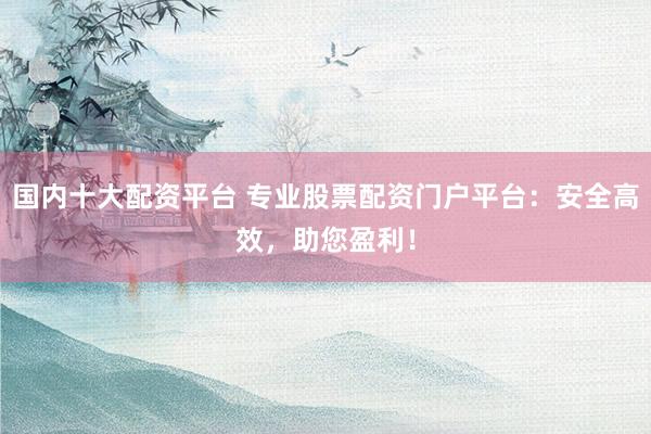 国内十大配资平台 专业股票配资门户平台：安全高效，助您盈利！