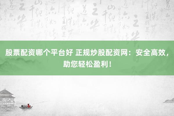 股票配资哪个平台好 正规炒股配资网：安全高效，助您轻松盈利！