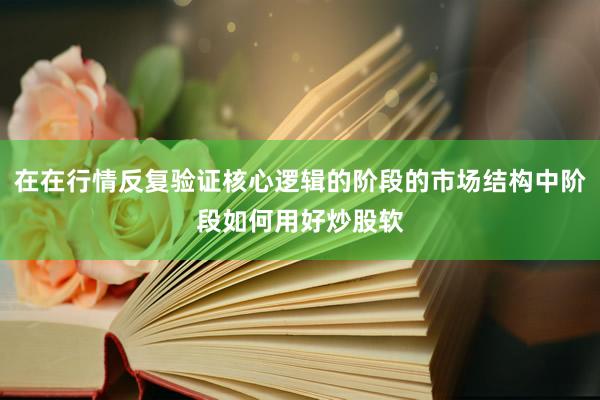 在在行情反复验证核心逻辑的阶段的市场结构中阶段如何用好炒股软
