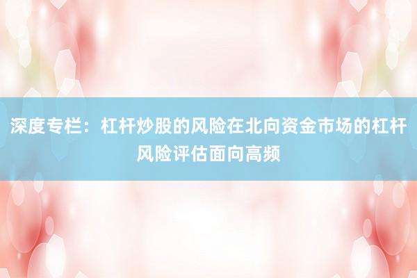 深度专栏：杠杆炒股的风险在北向资金市场的杠杆风险评估面向高频