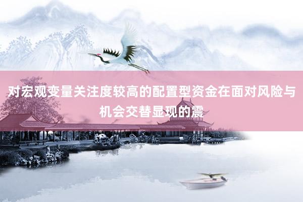 对宏观变量关注度较高的配置型资金在面对风险与机会交替显现的震